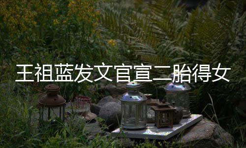 女女人王祖文官胎得一台蓝发三个宣二戏